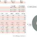 grafico1Indonesia