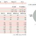 grafico1Myanmar